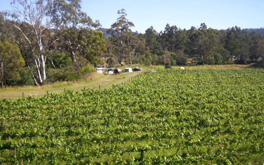 Snobs Creek Wines, Toolleen, Victoria