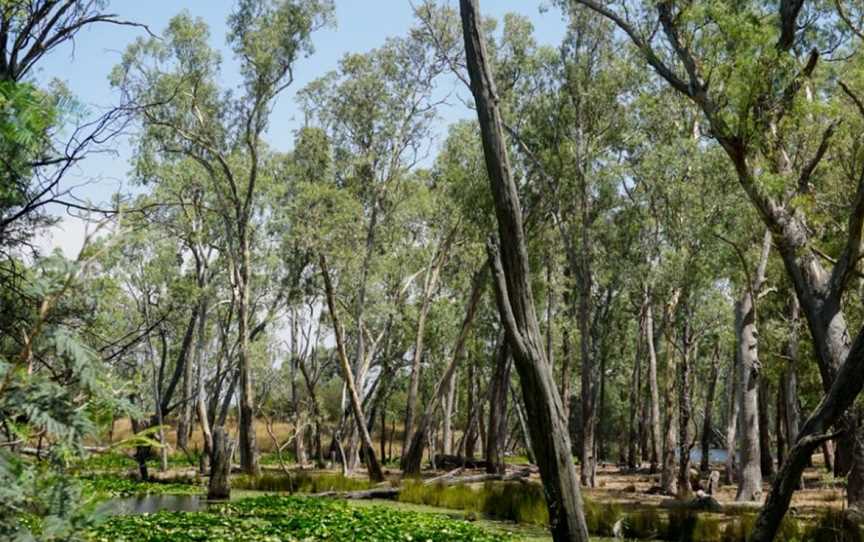 Tahbilk, Wineries in Tabilk