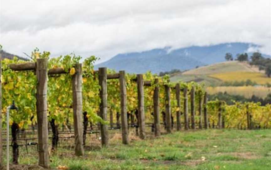 TarraWarra Estate, Yarra Glen, Victoria