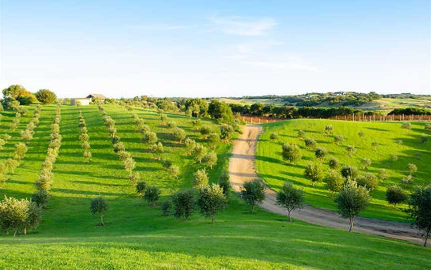 The Cups Estate, Fingal, Victoria