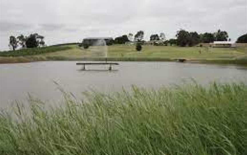 Traralgon Vineyard, Traralgon, Victoria