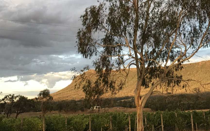 Utter Wines, Buxton, Victoria