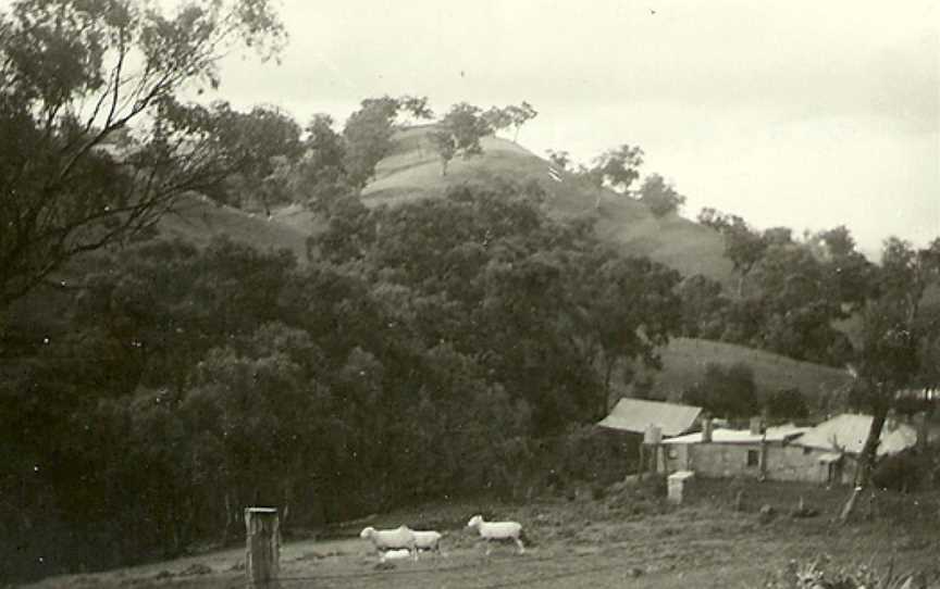 Bartagunyah Estate, Melrose, South Australia