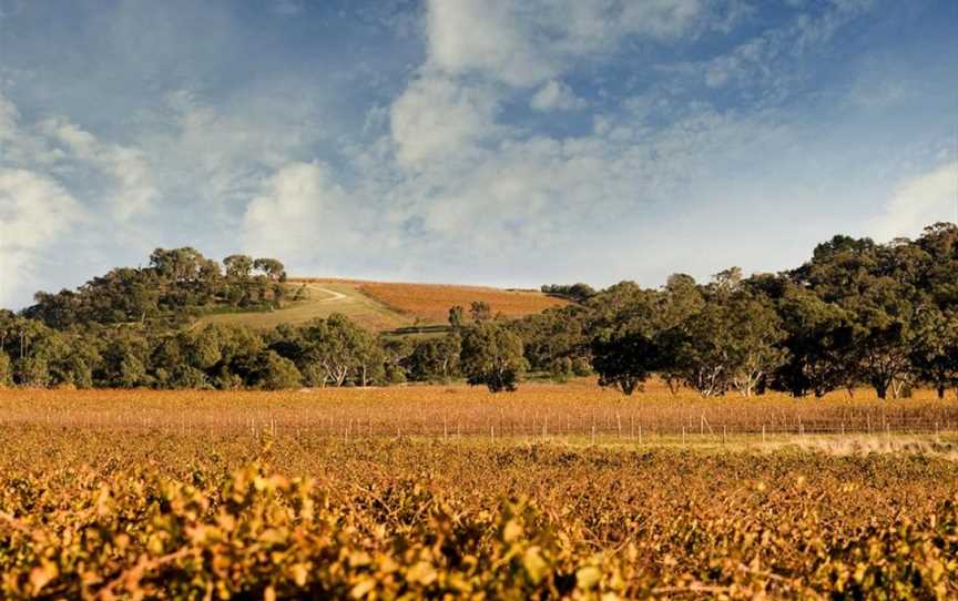 Chalk Hill, McLaren Vale, South Australia