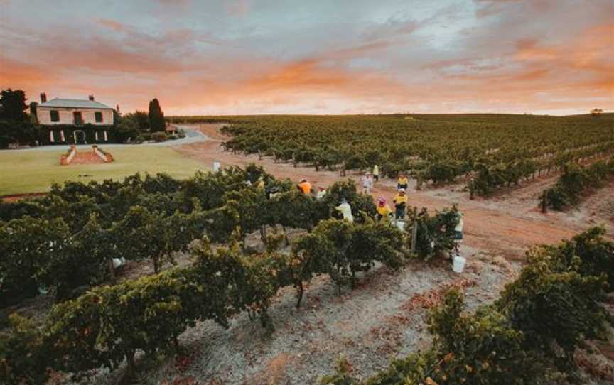 Clos Clare, Watervale, South Australia