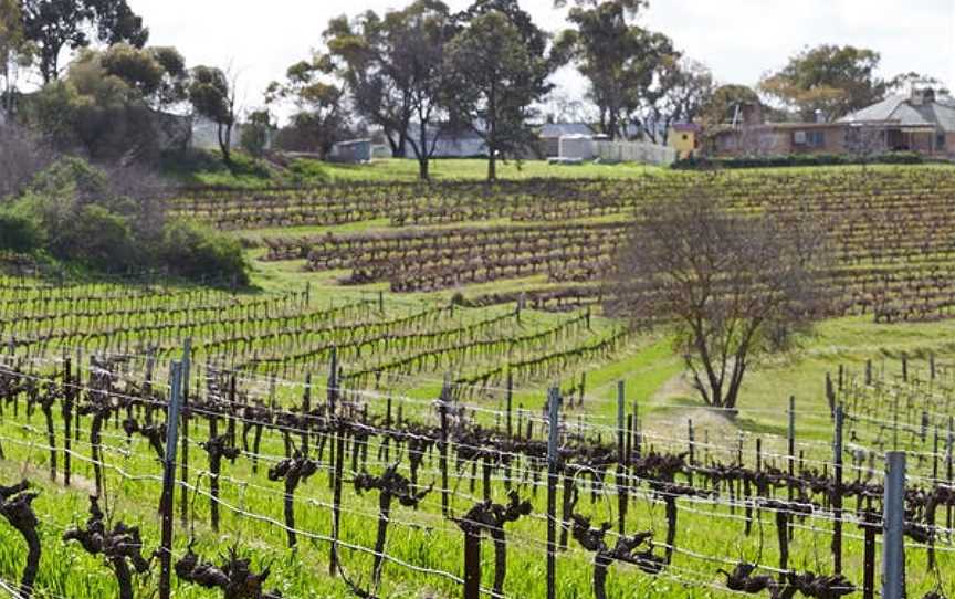 Crabtree Watervale Wines, Watervale, South Australia