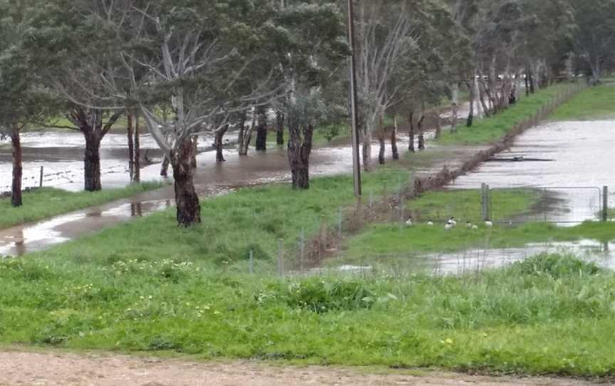 Finniss River Vineyard, Goolwa, South Australia