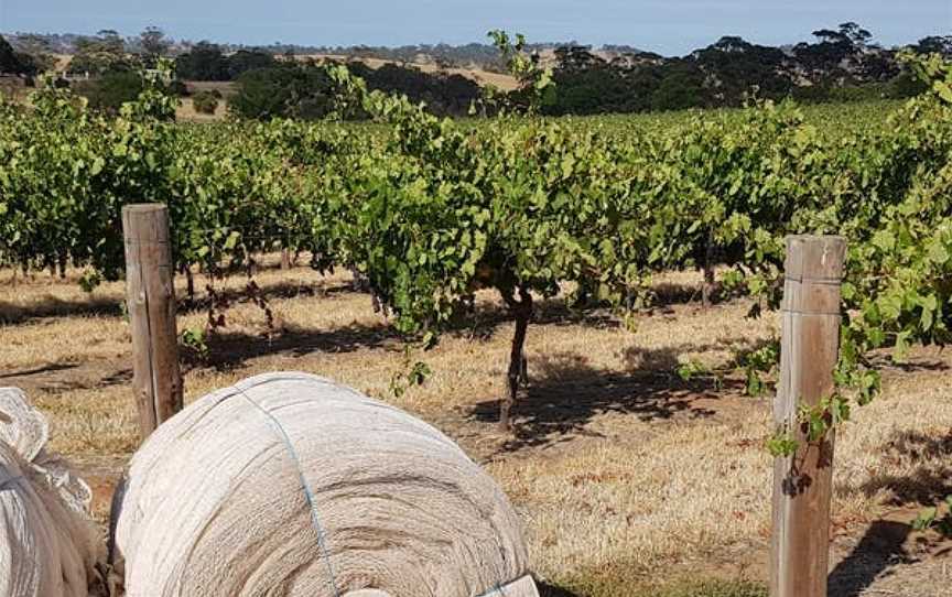 Garden & Field, Moculta, South Australia