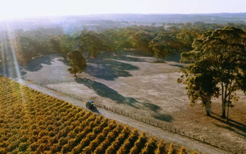 Hither & Yon, Willunga, South Australia