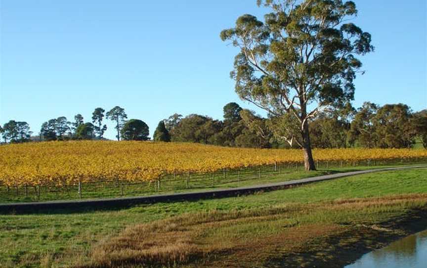 Malcolm Creek Vineyard, Kersbrook, South Australia