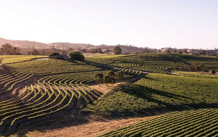 Pewsey Vale Vineyard, Wineries in Eden Valley