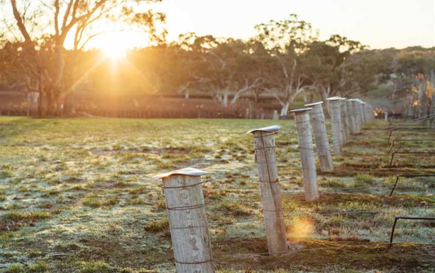 Simon Tolley Wines, Wineries in Woodside