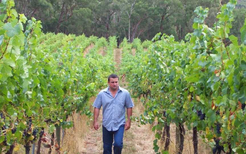 Smidge Wines, McLaren Vale, South Australia