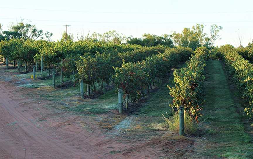 Spook Hill Wines, Cadell, South Australia