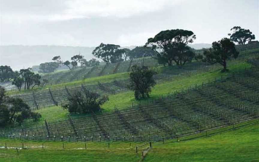 Tapanappa, Piccadilly, South Australia