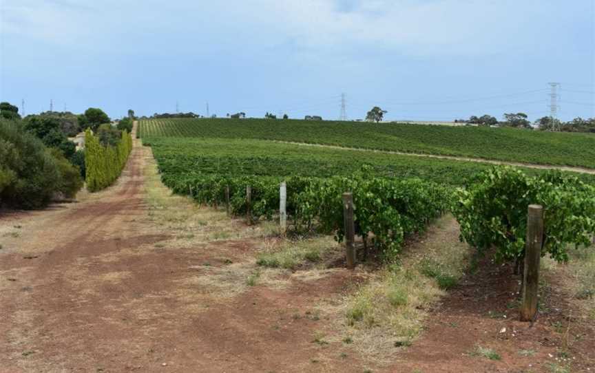 Tenafeate Creek Wines, One Tree Hill, South Australia