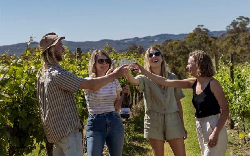 The Lane Vineyard, Balhannah, South Australia