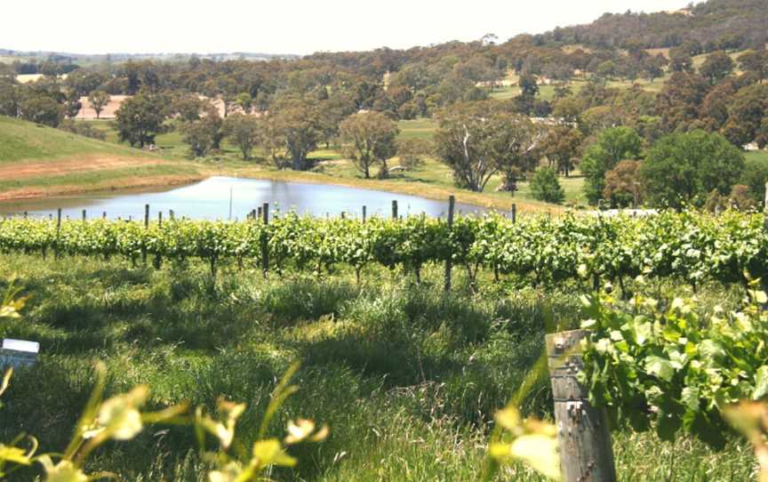 Tomich Wines, Unley, South Australia