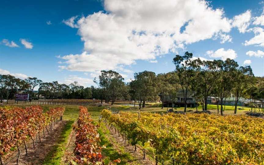 Banca Ridge Cellar Door and Vineyard, Wineries in Stanthorpe