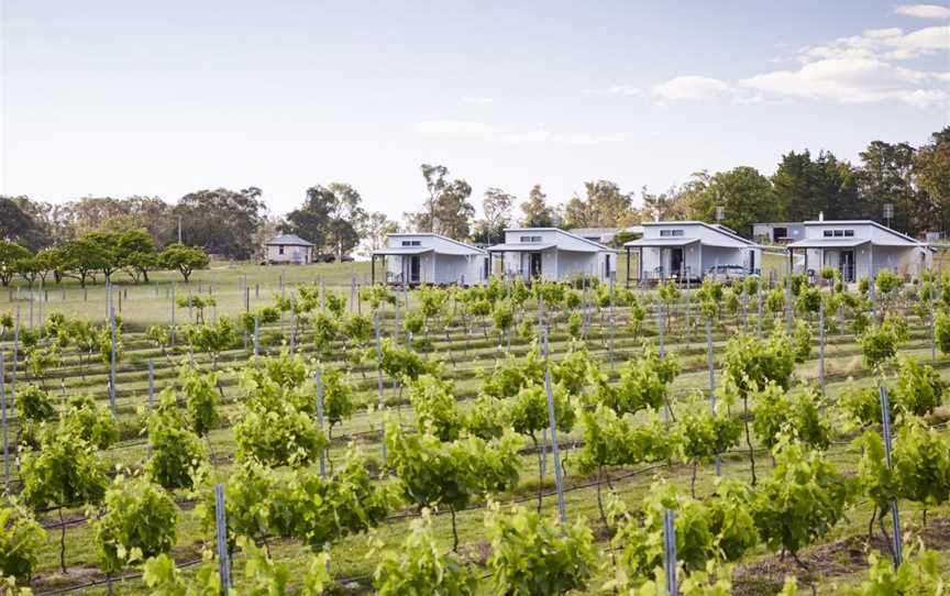 Ridgemill Estate, Wineries in Severnlea