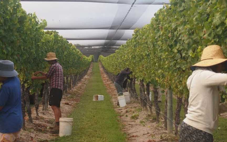 Robert Channon Wines, Wineries in Amiens