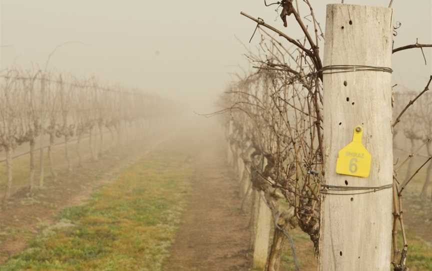 Tobin Wines, Ballandean, Queensland