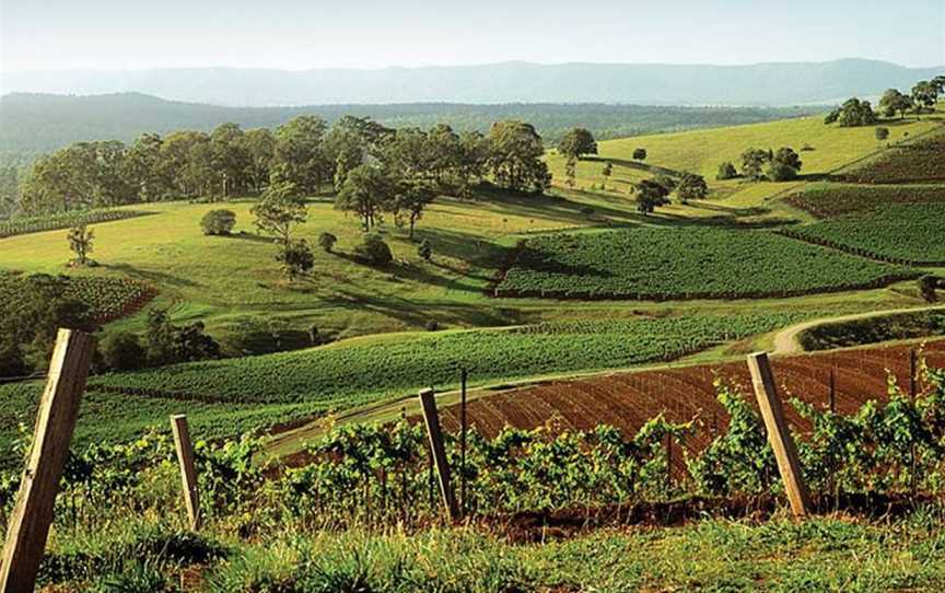 Carillion Wines, Wineries in Mount View