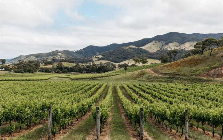 Gilbert Family Wines, Mudgee, New South Wales