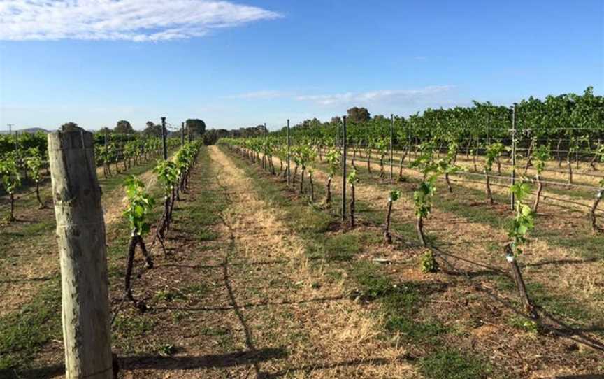 Joshua's Fault Wines, Gundaroo, New South Wales