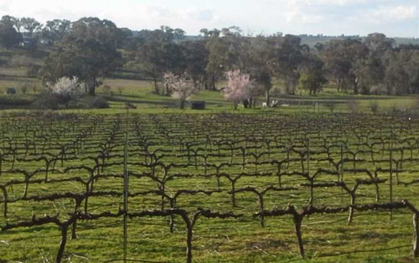 Lockwood Vineyard, Young, New South Wales