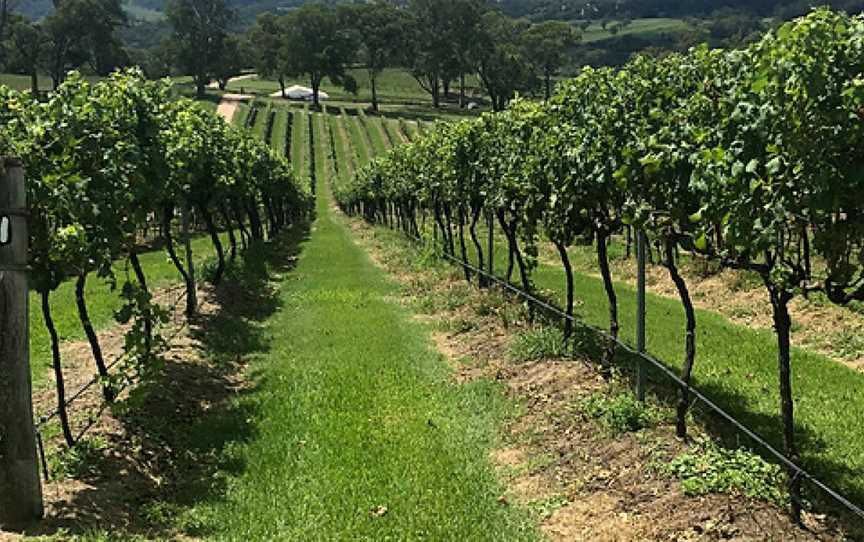 Megalong Creek Estate, Megalong Valley, New South Wales