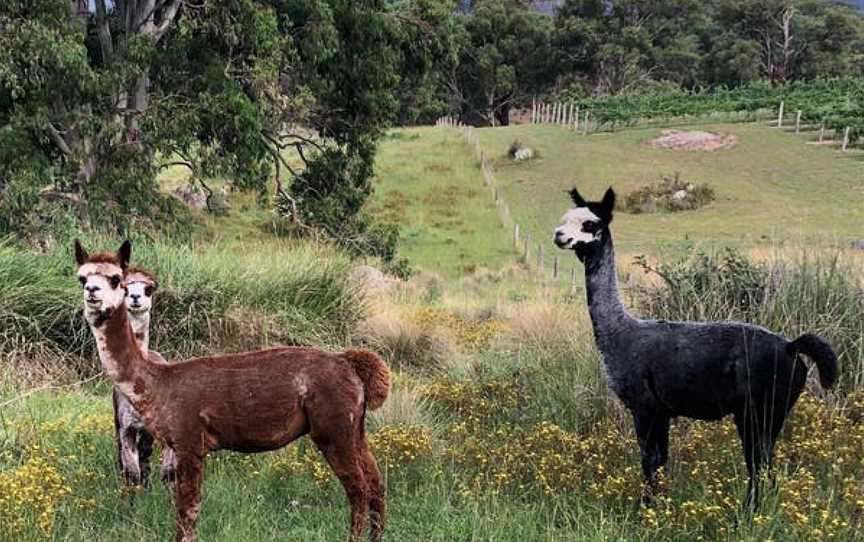 Megalong Creek Estate, Megalong Valley, New South Wales