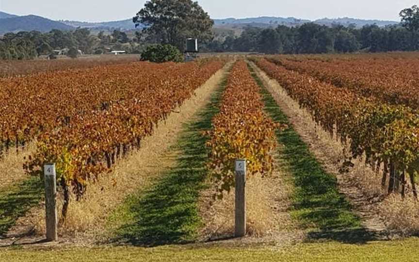 Petersons of Mudgee, Wineries in Eurunderee