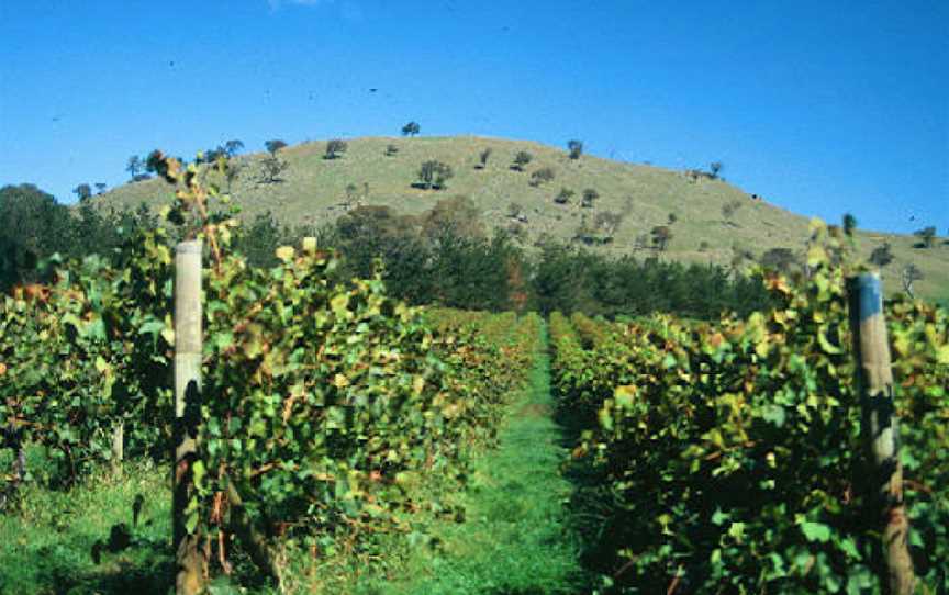 Surveyor's Hill Vineyards, Wallaroo, New South Wales