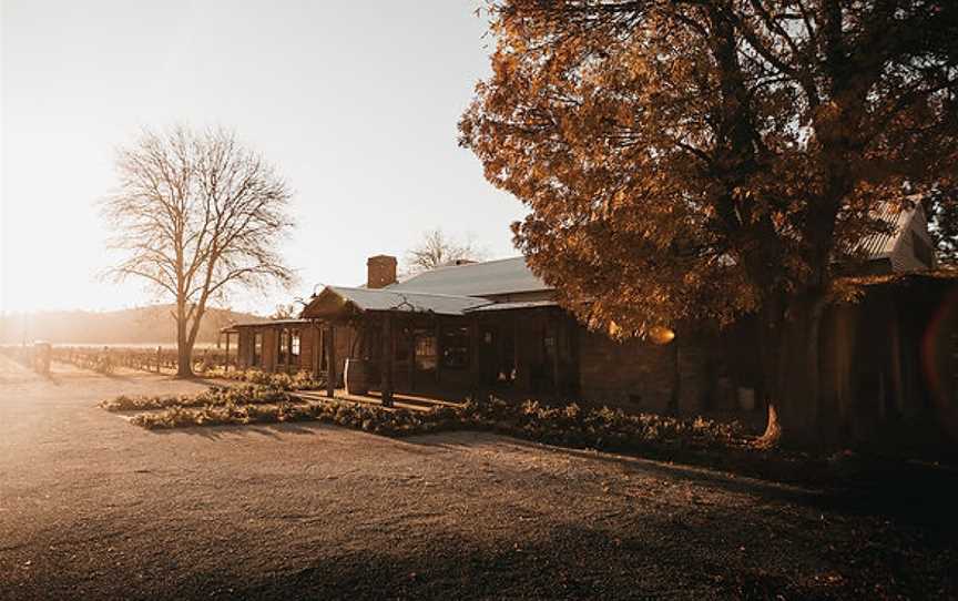 The Wild Vine, Wagga Wagga, New South Wales