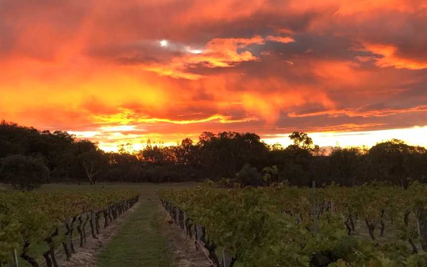 Bungawarra, Wineries in Ballandean