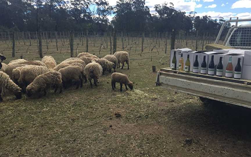 Tractorless Vineyard Cellar Door at The Mill Courtyard, Bowral, New South Wales