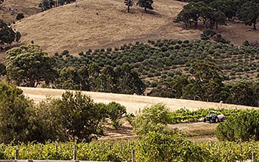 McIvor Estate, Wineries in Tooborac