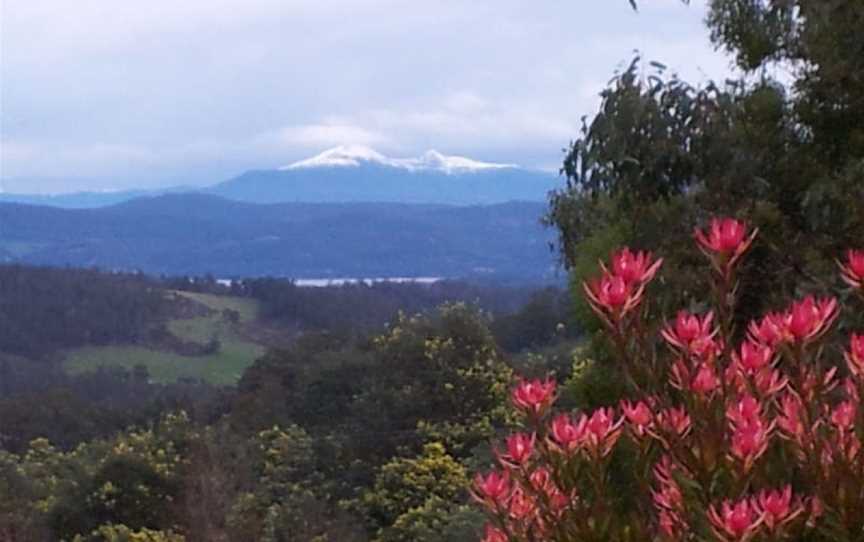 Hartzview Vineyard, Gardners Bay, Tasmania