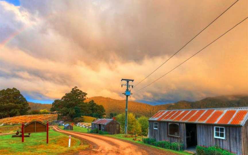 Hartzview Vineyard, Wineries in Gardners Bay