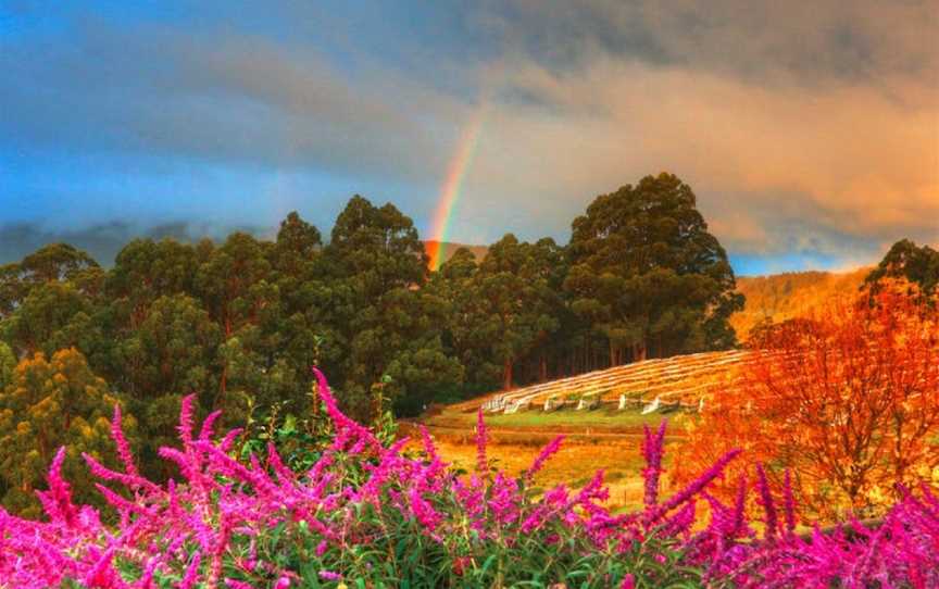 Hartzview Vineyard, Gardners Bay, Tasmania