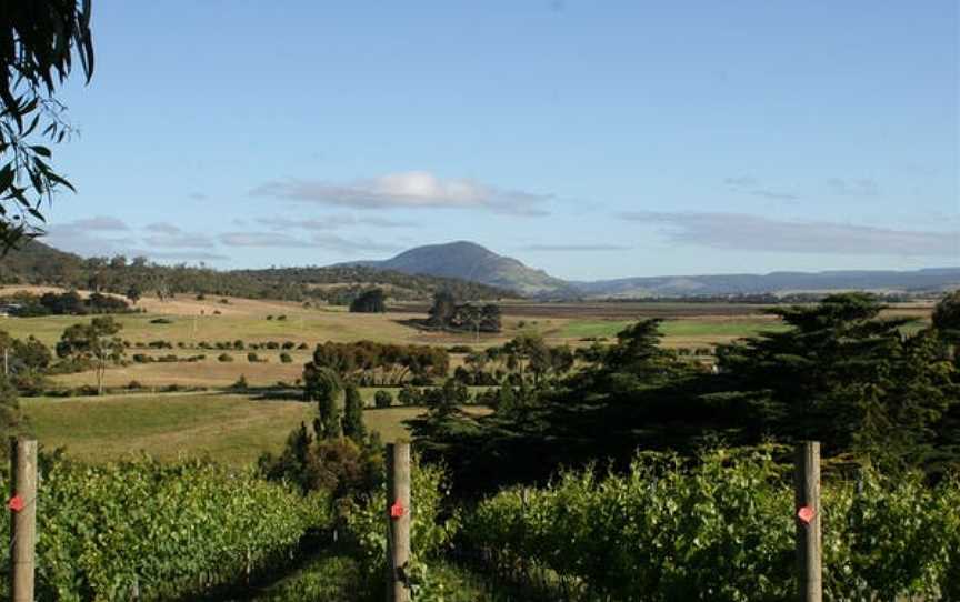 Pooley Wines, Wineries in Richmond