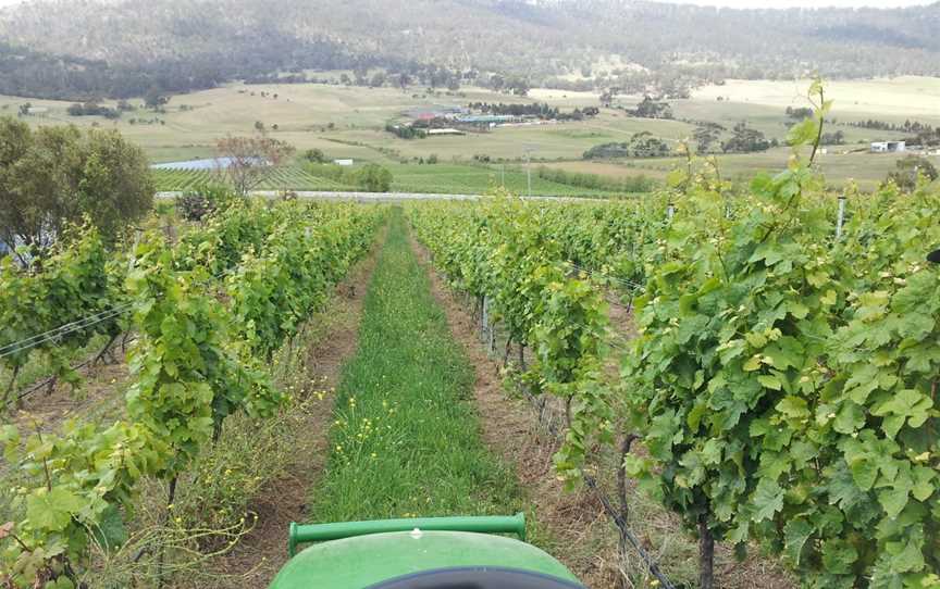 Pressing Matters, Tea Tree, Tasmania