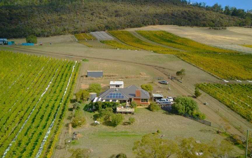 Pressing Matters, Wineries in Tea Tree