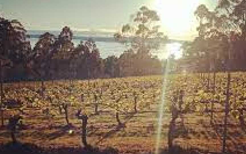 Resolution Vineyard, MIddleton, Tasmania