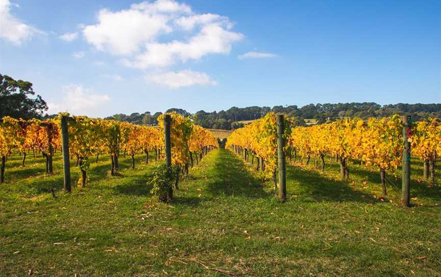 Bellingham Estate, Wineries in Arthurs Seat