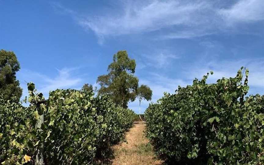 Charlotte Dalton Wines, Wineries in Port Elliot