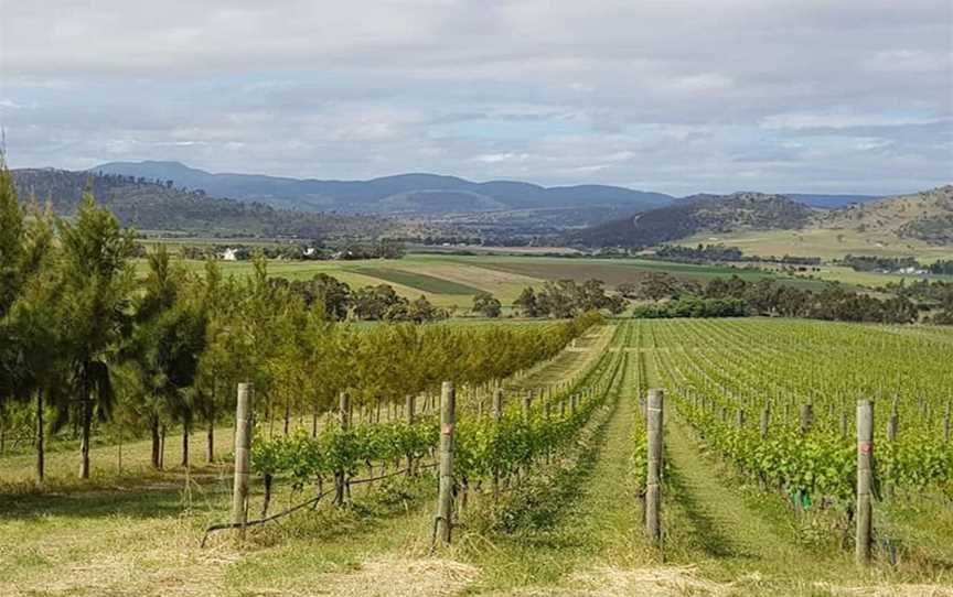 Tolpuddle Vineyard, Wineries in Richmond