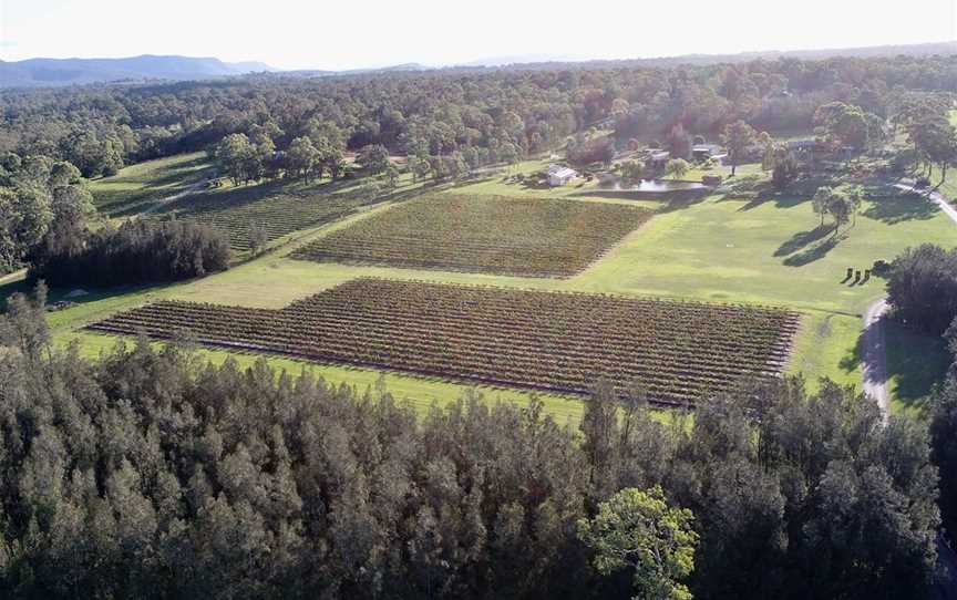 Wombat Crossing Vineyard, Wineries in Pokolbin