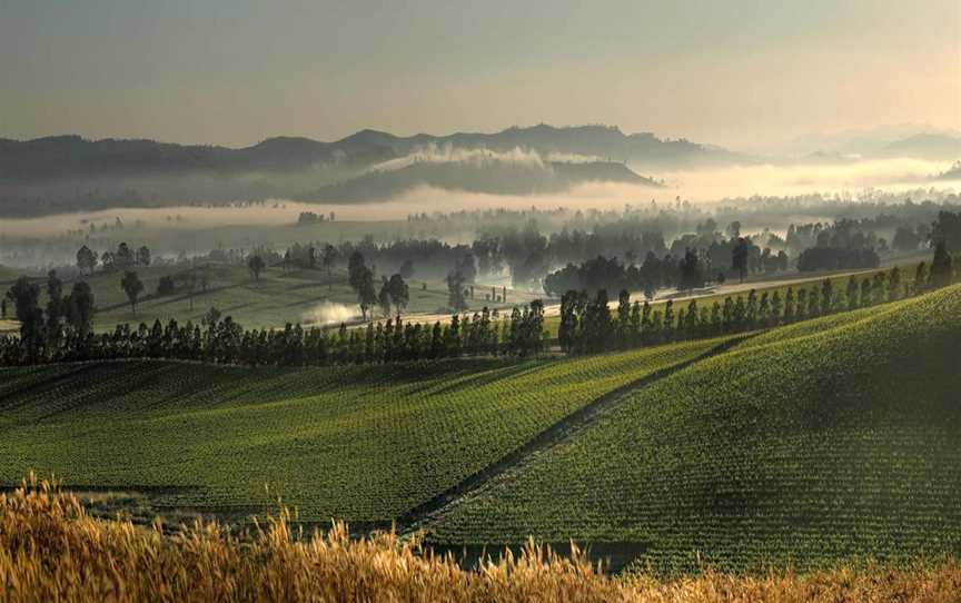 Tumblong Hills, Wineries in Gundagai